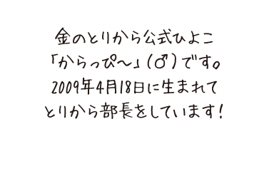 からっぴープロフィール